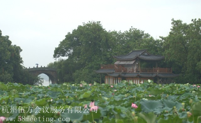 曲苑風(fēng)荷_曲苑風(fēng)荷旅游活動策劃咨詢-杭州伍方會議服務(wù)有限公司